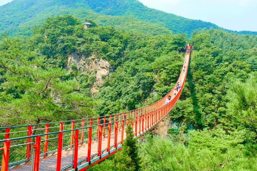 From Seoul: DMZ The 3rd Tunnel and Suspension Bridge Tour - Key highlights worth your attention