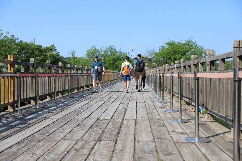 From Seoul: DMZ The 3rd Tunnel and Suspension Bridge Tour - Who should book this DMZ tour (and who should think twice)
