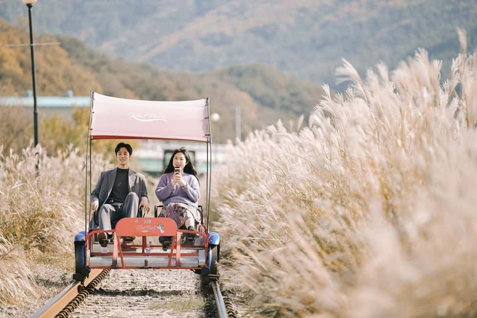 From Seoul: Nami Island, Korean Garden & Rail Bike Day Trip - Key things that make this day trip work