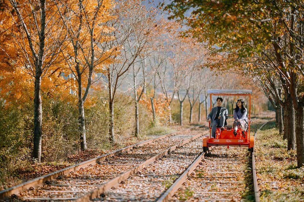 From Seoul: Nami Island, Korean Garden & Rail Bike Day Trip - Stop 1: Garden of Morning Calm Lights, Flowers, and Winter Eobi Valley