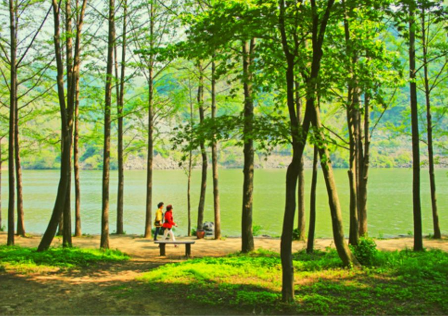 From Seoul: Nami Island, Korean Garden & Rail Bike Day Trip - Guides Matter: Why This Tour Feels Smooth Under Pressure