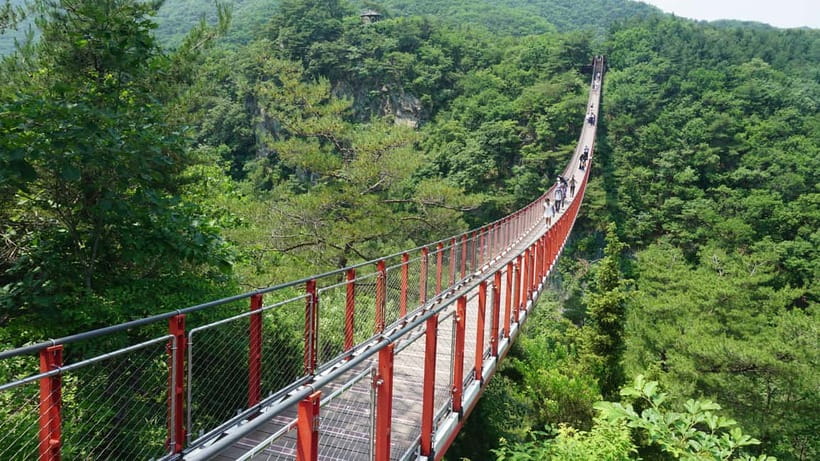 From Seoul: South Korea Demilitarized Zone Guided Tour - Key Highlights You’ll Care About
