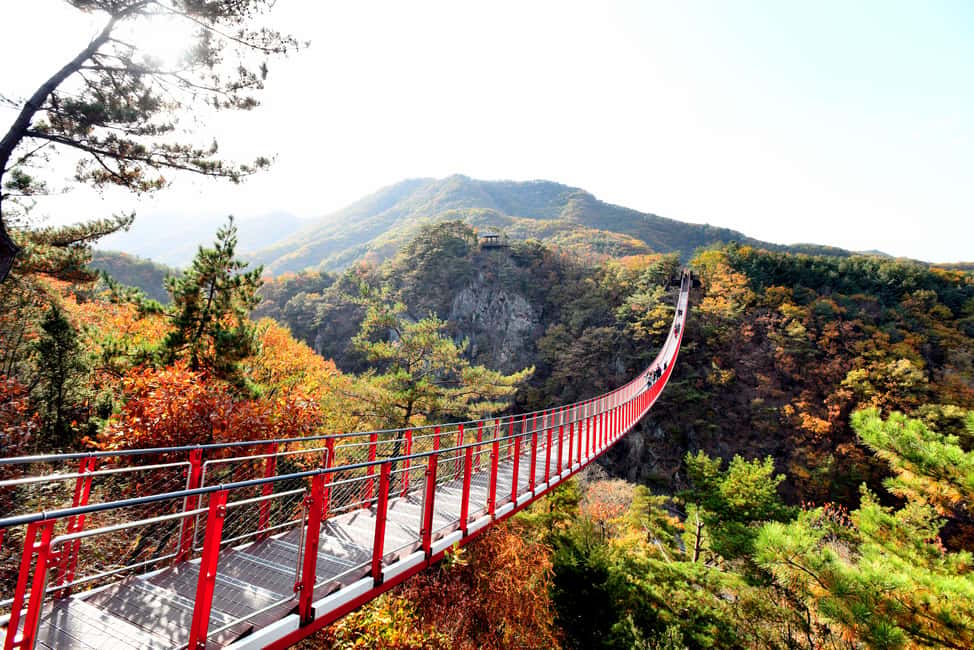 From Seoul: South Korea Demilitarized Zone Guided Tour - Why This DMZ Tour From Seoul Feels Different
