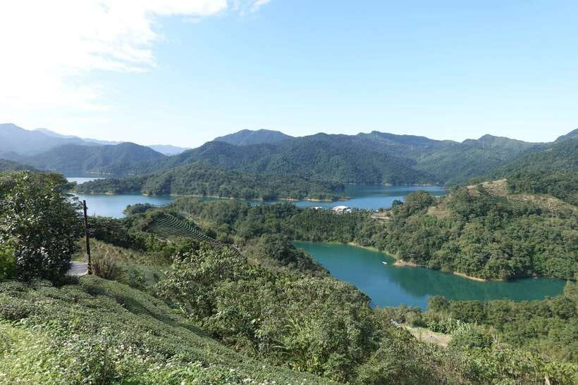 From Taipei: Thousand Island Lake and Pinglin Tea Plantation - Tea tasting and brewing: how to make the cup, not just sip it