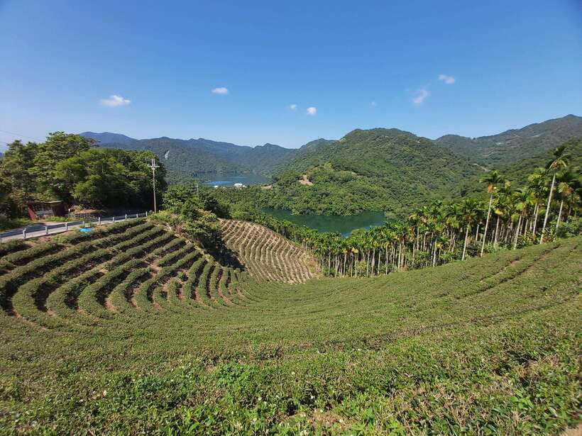 From Taipei: Thousand Island Lake and Pinglin Tea Plantation - Price and logistics: is $40 a smart deal for this half day?