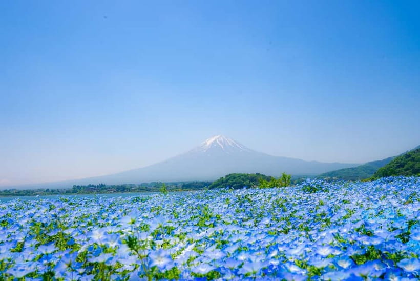 From Tokyo: Mt Fuji, Arakurayama and Kawaguchi Lake Day Trip - Timing, crowds, and small comfort notes