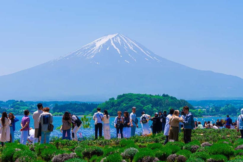 From Tokyo: Mt Fuji, Arakurayama and Kawaguchi Lake Day Trip - Lake Kawaguchiko and the Oishi Park vs Maple Corridor choice