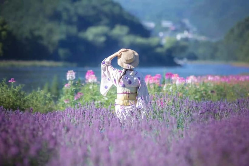 From Tokyo: Mt Fuji, Arakurayama and Kawaguchi Lake Day Trip - When weather hides Fuji, you still get value