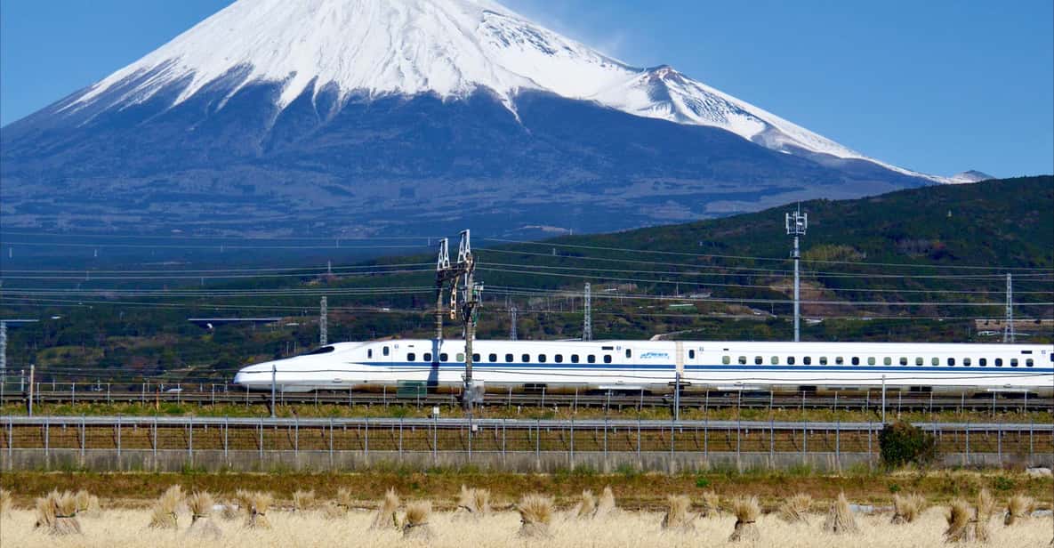 From Tokyo: Mt. Fuji & Hakone Tour w/ Return by Bullet Train - Meeting at Nishi Shinjuku and starting without stress