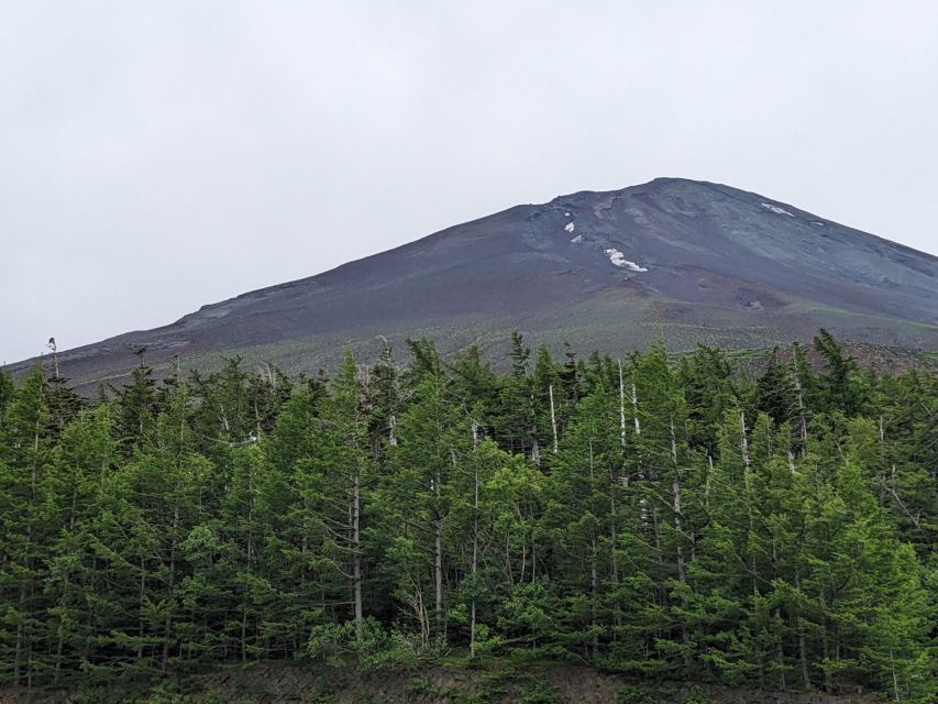 From Tokyo: Mt. Fuji & Hakone Tour w/ Return by Bullet Train - Lake Ashi cruise: Fuji from the water, plus a fun ship