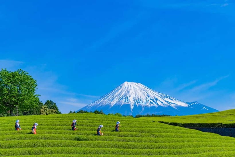 From Tokyo: Must-Visit Mount Fuji Highlight Full-Day Tour - Honcho Street, Lawson viewpoints, Lake Kawaguchi, and Oishi Park: the photo angles that come in clusters