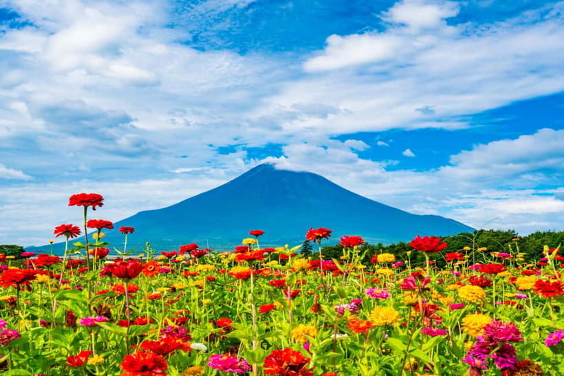 From Tokyo: Must-Visit Mount Fuji Highlight Full-Day Tour - Oshino Hakkai and Lake Yamanaka: when Fuji turns quiet and reflective