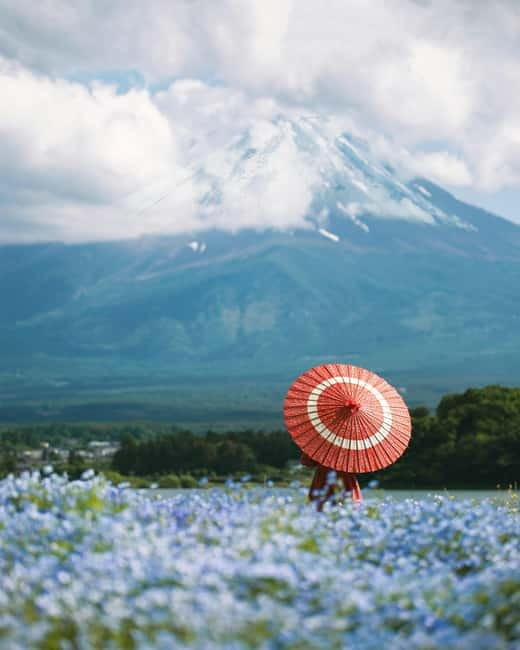From Tokyo: Must-Visit Mount Fuji Highlight Full-Day Tour - Weather, crowds, and why your day can still be great without a perfect view