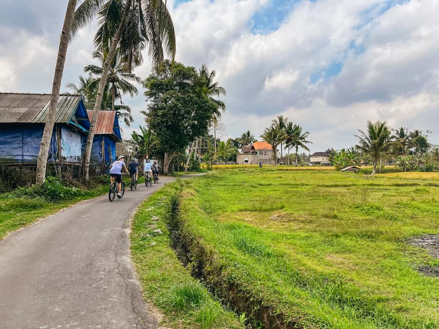 From Ubud: Downhill Bike Tour with Rice Terraces and Meal - Key things that make this tour worth it