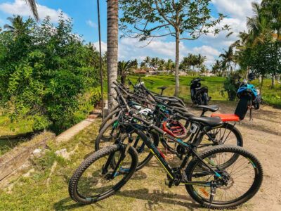 From Ubud: Downhill Bike Tour with Rice Terraces and Meal - Coffee plantation breakfast: fuel with a side of flavor