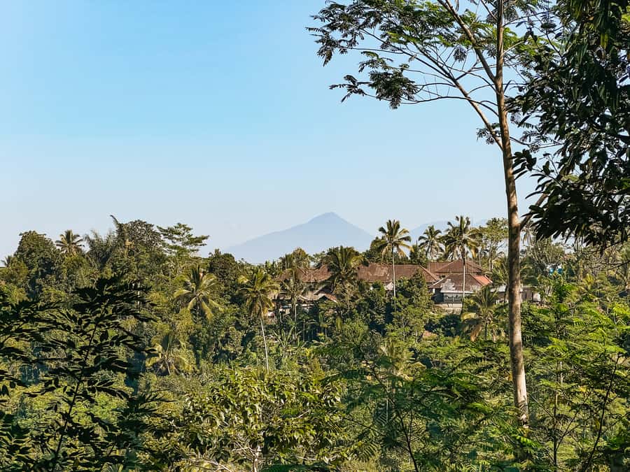 From Ubud: Downhill Bike Tour with Rice Terraces and Meal - Food in Ubud: breakfast to meal, with local flavor