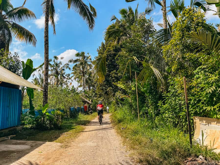 From Ubud: Downhill Bike Tour with Rice Terraces and Meal - Practical tips so your day feels smooth