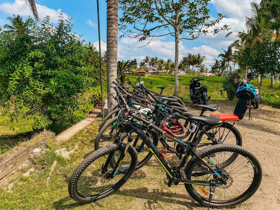 From Ubud: Downhill Bike Tour with Rice Terraces and Meal - Coffee plantation breakfast: fuel with a side of flavor