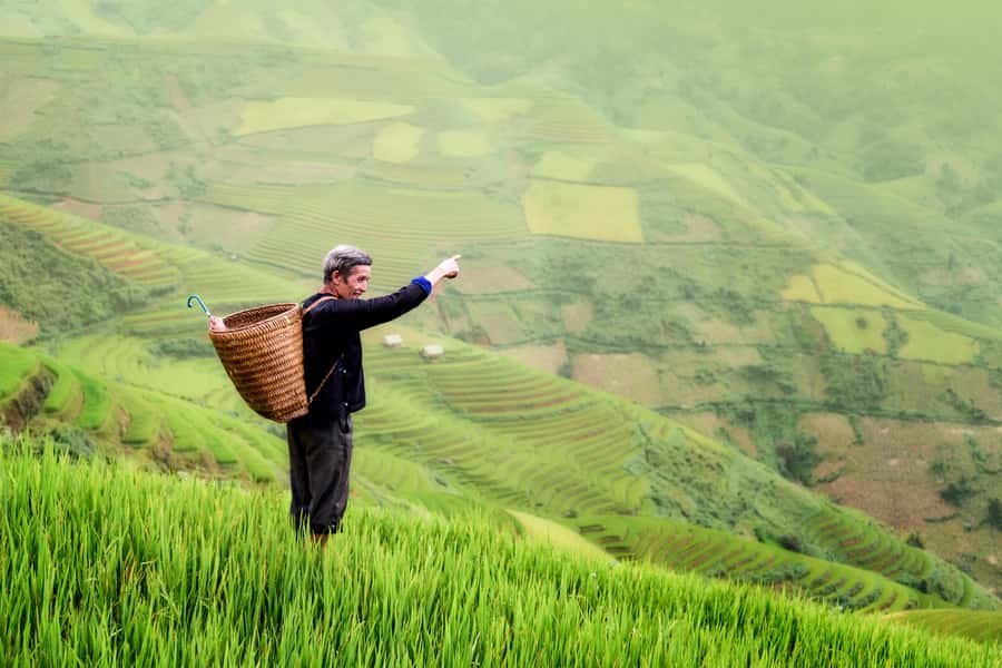 From Ubud: Evening Firefly Tour in Taro Village - What Makes This Firefly Tour Feel Worth Your Evening