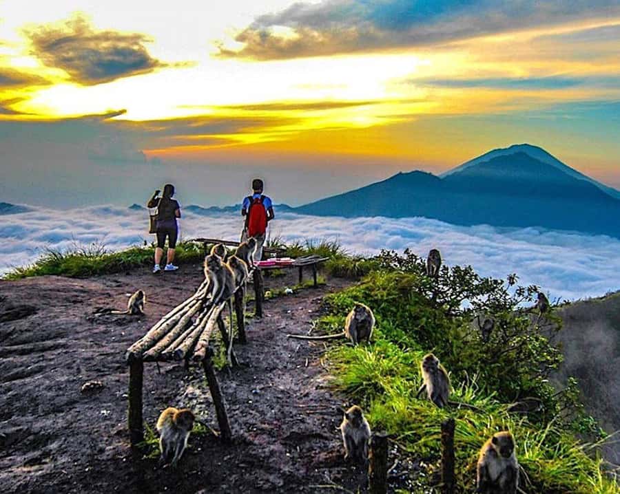 From Ubud: Mount Batur Hiking - Guides and transport: what quality looks like at 2:30am