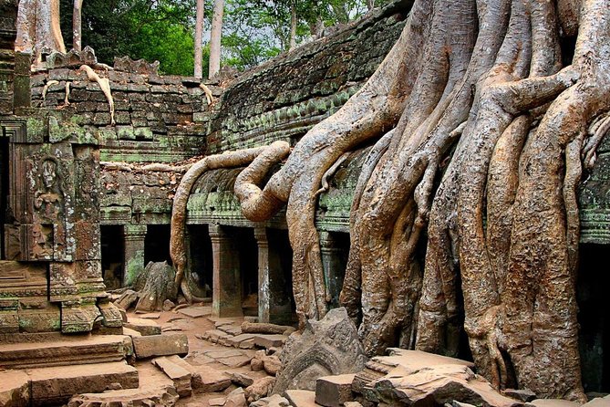 Full-Day Guided Sunset Tour of Angkor Wat - Pickup in Siem Reap: How the Day Actually Starts