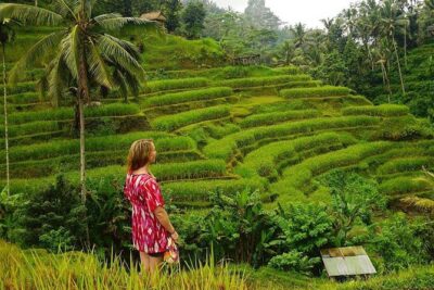 Full-Day in Bali: Private Design-Your-Own Tour - Your itinerary options: from Ubud greens to south coast drama