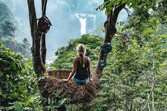 Full-Day in Bali: Private Design-Your-Own Tour - AC comfort and traffic control: why the driver matters
