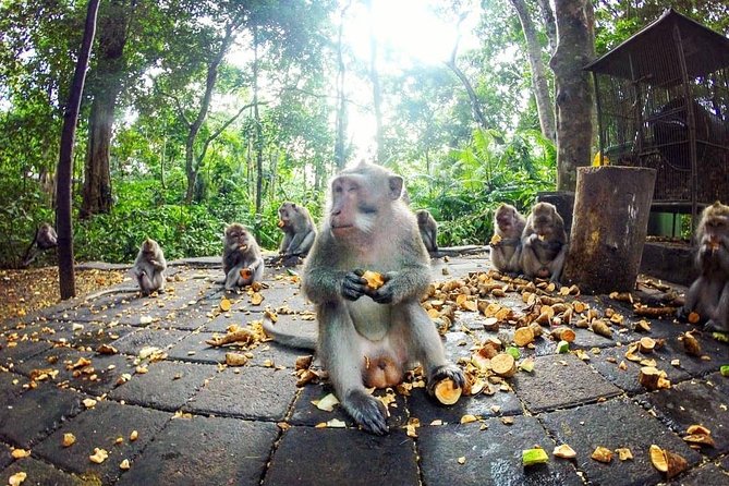 Full-Day in Bali: Private Design-Your-Own Tour - Should you book this private build-your-own Bali day tour?