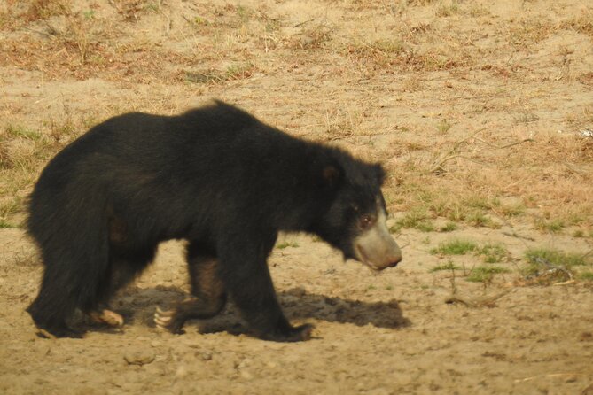 Full day Safari - Yala National Park - 04.30 am to 06.00 pm with - Janaka safari - Guides are the difference: Su, Darshana, Sri Mal, and others