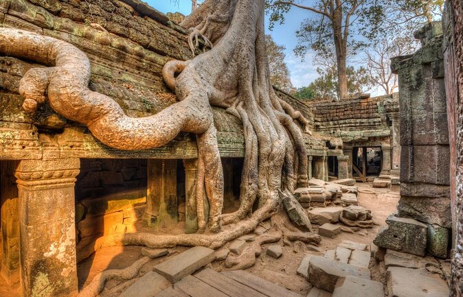 Full Day Small Group Tour Guide with Sun rise - Why the 4:30am Sunrise Start Feels Worth It