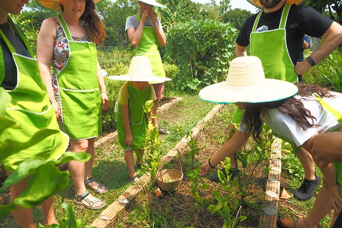 Full Day Thai Cooking at Farm (Chiang Mai) - From Your Hotel to a Local Market: How the Morning Starts