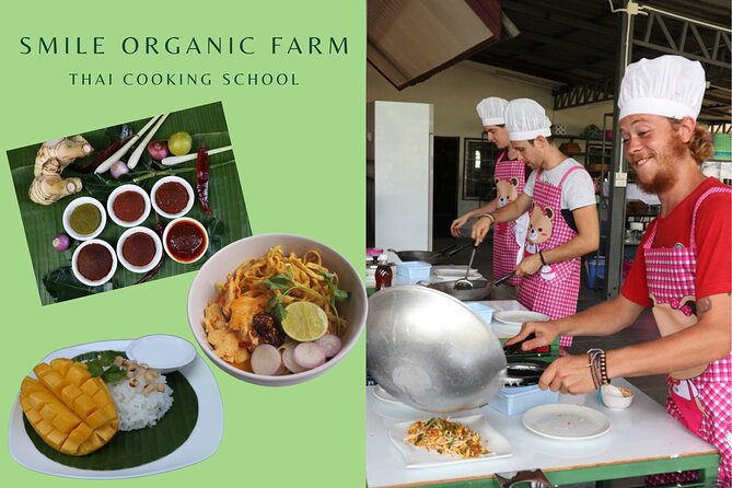 Full Day Thai Cooking at Farm (Chiang Mai) - The Organic Kitchen Garden: Where the Flavor Lessons Start