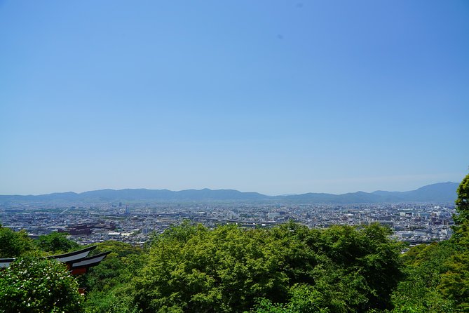 Fushimi Inari Hidden Hiking Tour (Private Option Available) - Bamboo forest time: the best kind of Kyoto detour