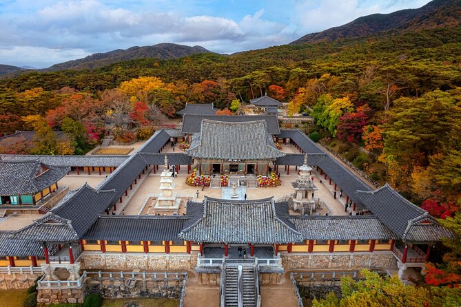 Gyeongju UNESCO World Heritage Guided Day Tour from Busan - Daereungwon Tomb Complex and Cheonmachong: royal cemeteries with context