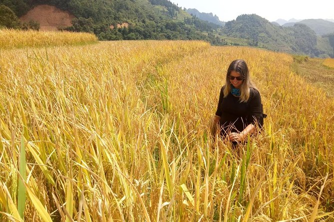 Ha Giang loop 3 or 4 Days, Small Group Tour (within easy riders) - Small-Group Rhythm and Easy Riders (Max 10)