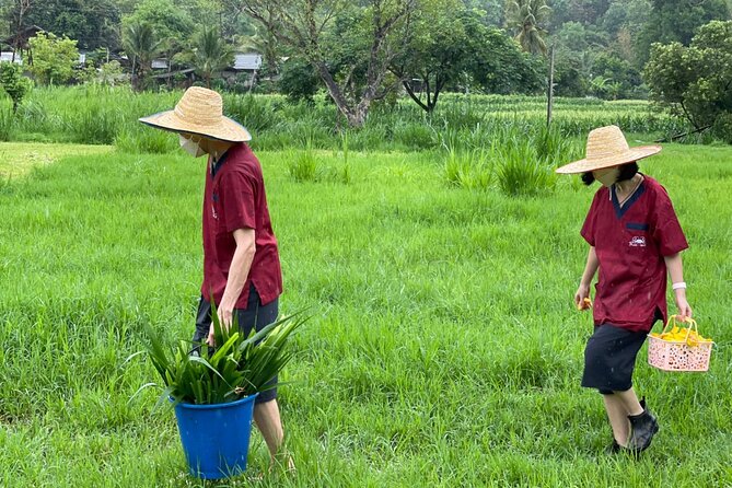 Half-Day Elephant Experience at Rantong - Dressing for Mahout-Style Karen Elephant School