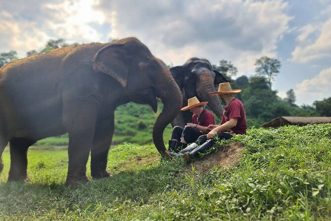 Half-Day Elephant Experience at Rantong - Bath Time in Natural-Feeling Conditions (Bring the Wet Stuff)