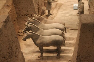 Half-Day Mini Group Xian Tour to Terracotta Warriors Museum - How the guide style affects your experience (Rita, Carol, Celine)