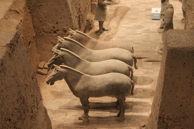 Half-Day Mini Group Xian Tour to Terracotta Warriors Museum - How the guide style affects your experience (Rita, Carol, Celine)
