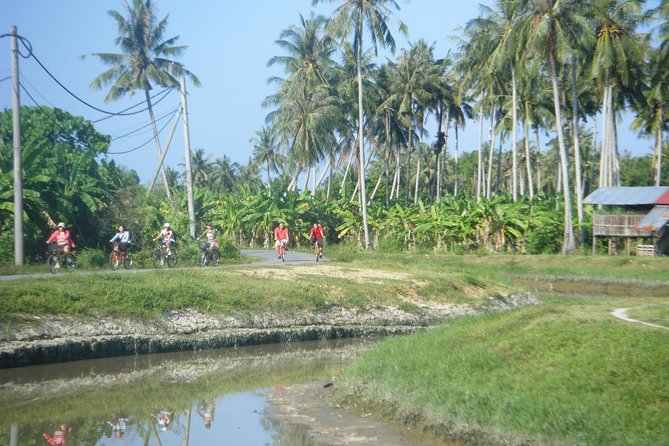 Half-Day Penang Countryside Cycling Tour - Key highlights to look for