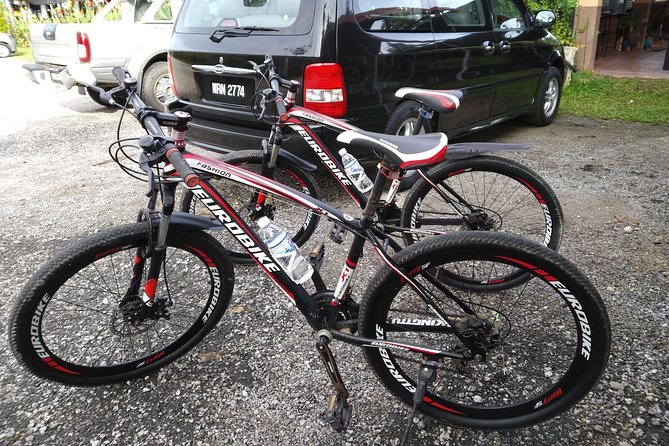 Half-Day Penang Countryside Cycling Tour - Guides make or break it: Eddie and TC are part of the story