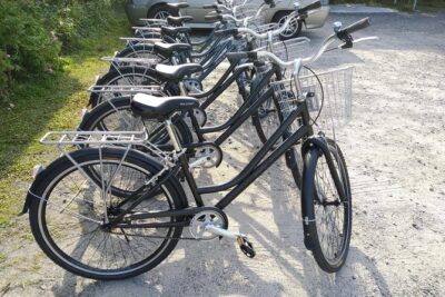 Half-Day Penang Countryside Cycling Tour - Balik Pulau start: orientation plus an easy rhythm for the ride