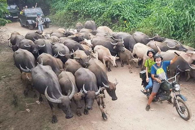 Hanoi Countryside Motorbike Tour: Red River Culture & Daily Life - Key things you’ll notice on this Hanoi countryside motorbike tour