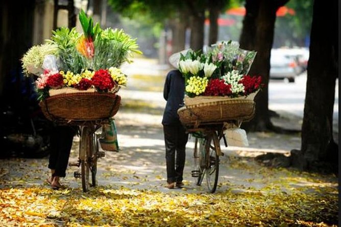 Hanoi street food tour (small group) - Three hours in Hanoi’s Old Quarter, with a plan you can trust