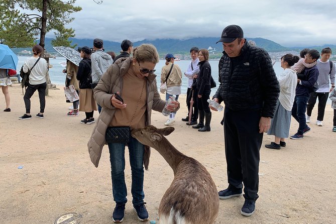 Hiroshima / Miyajima Full-day Private Tour with Government Licensed Guide - Shukkeien Garden: a slower hour that resets your brain