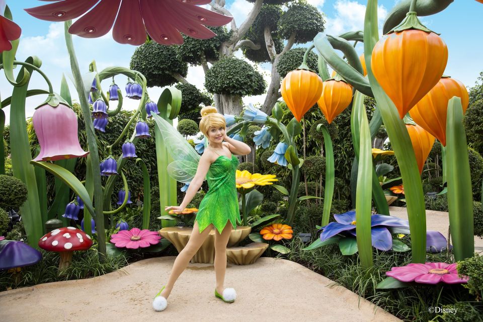 Hong Kong Disneyland Park Tickets - Who This Ticket Works Best For