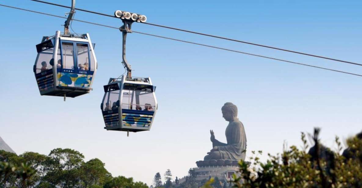 Hong Kong: Dolphin Cruise, Big Buddha & Lantau Island Tour - Cable Car Option: The View Payoff (and a Real Height Decision)