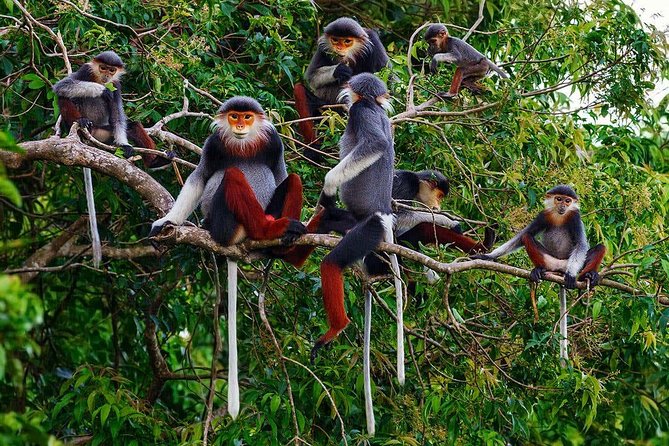 Hue to Dn/Hoi An: Hai Van Pass, beaches & Mt Monkey or vice versa - Son Tra Peninsula: Lady Buddha and Monkey Mountain Viewpoints