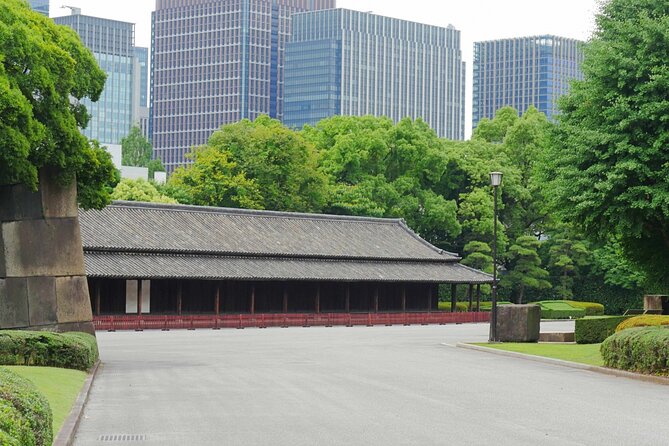 Imperial Palace East Garden and Edo Castle Walking Tour in Tokyo - Imperial Palace grounds, Edo Castle ruins, and why this walk works