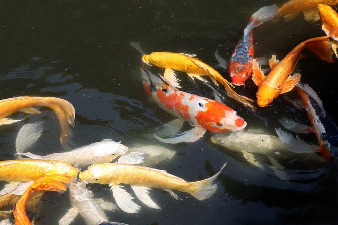 Imperial Palace East Garden and Edo Castle Walking Tour in Tokyo - Walking comfort, hills, and what happens in rain